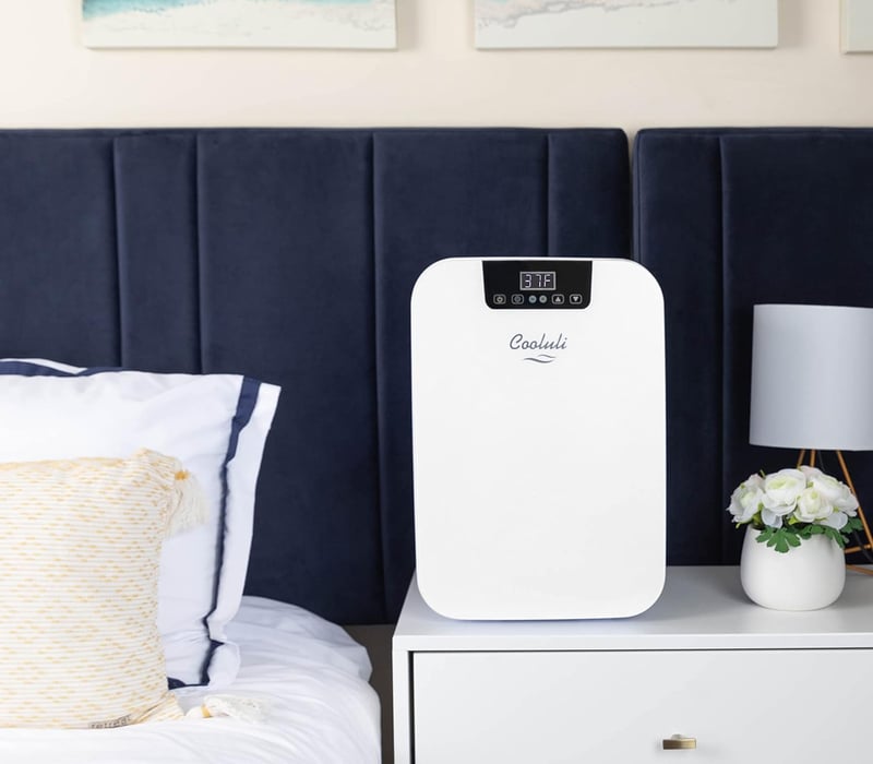 Cooluli 20L Thermoelectric Mini Fridge - White for Home or Office