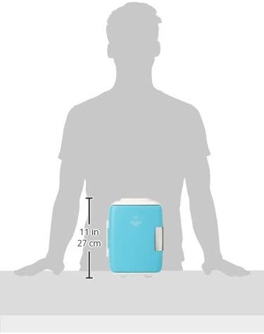 Portable Mini Fridge - 4L Cooler/Warmer for Home & Travel