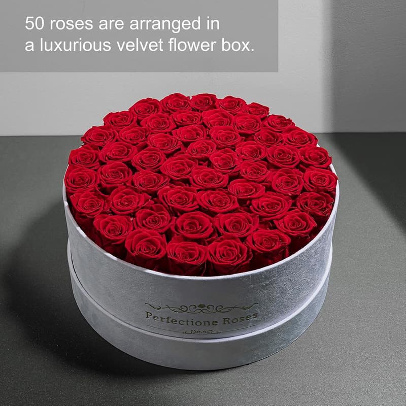Preserved Red Roses in Velvet Box - Birthday Gift for Women