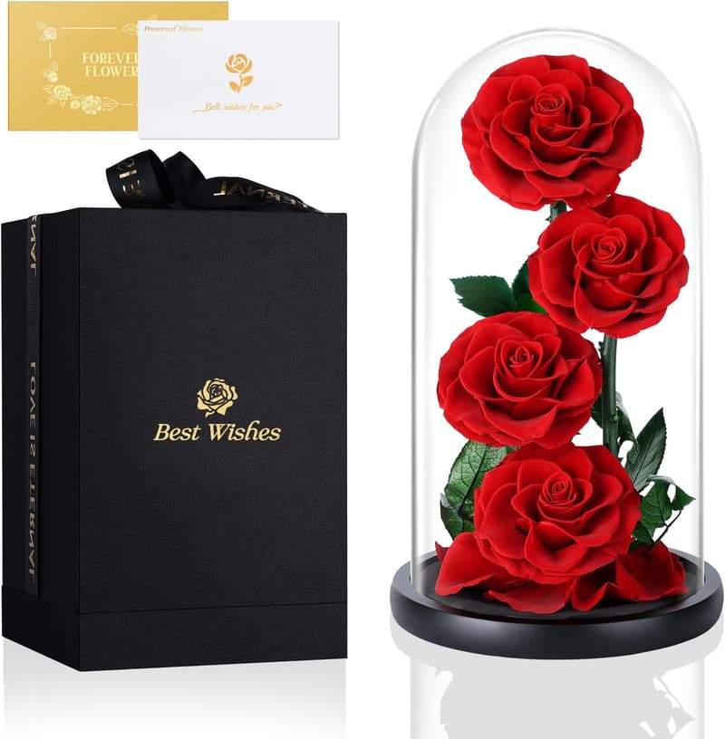 Forever Roses in Glass Dome - Lasts 5 Years, Gifts for Women