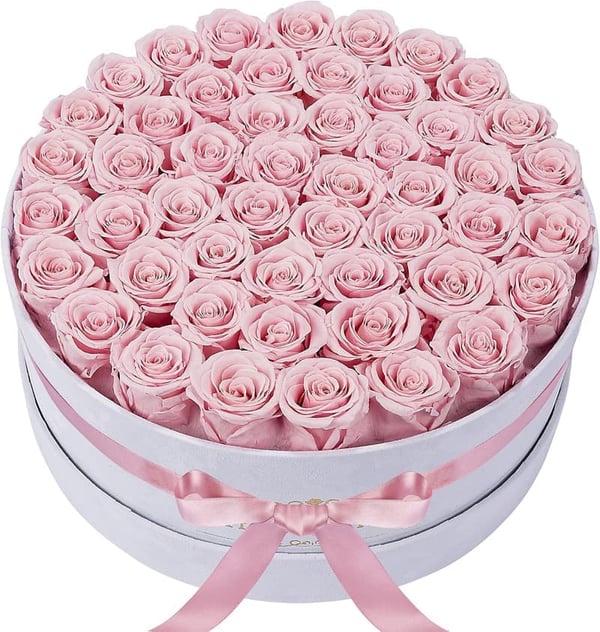 Pink Preserved Roses in Velvet Box for Women's Birthday Gifts