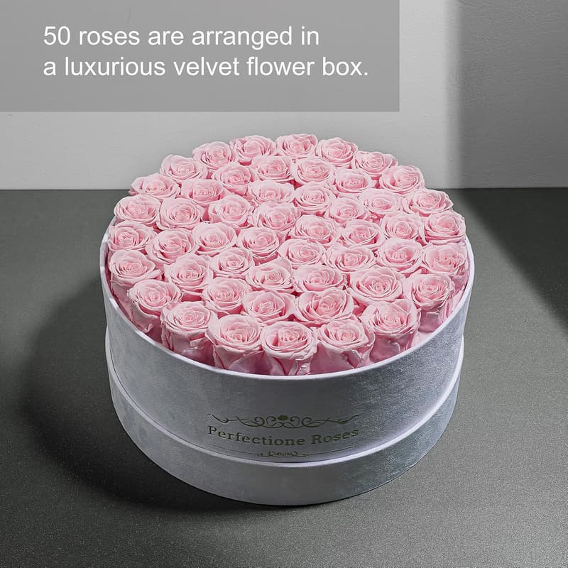 Pink Preserved Roses in Velvet Box for Women's Birthday Gifts