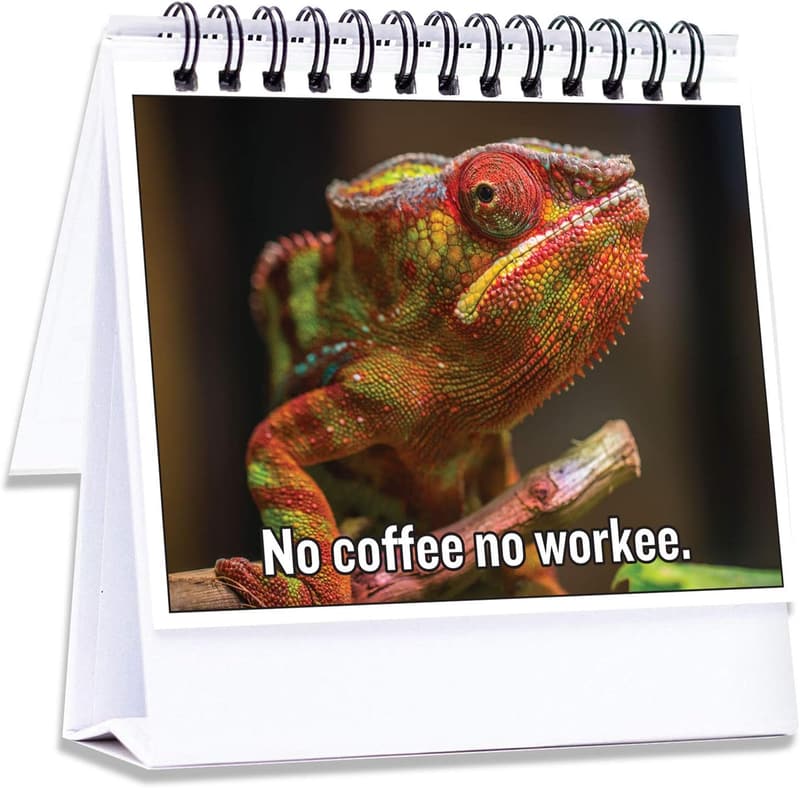 Funny Desk Toy for Coworkers | Hilarious Office Gag Gift