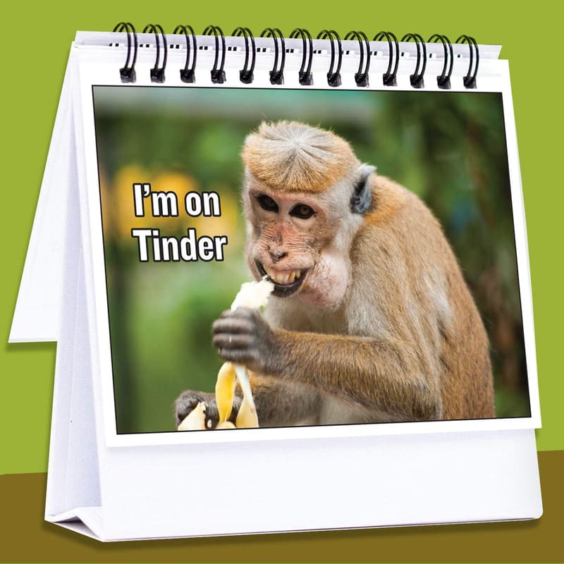 Funny Desk Toy for Coworkers | Hilarious Office Gag Gift