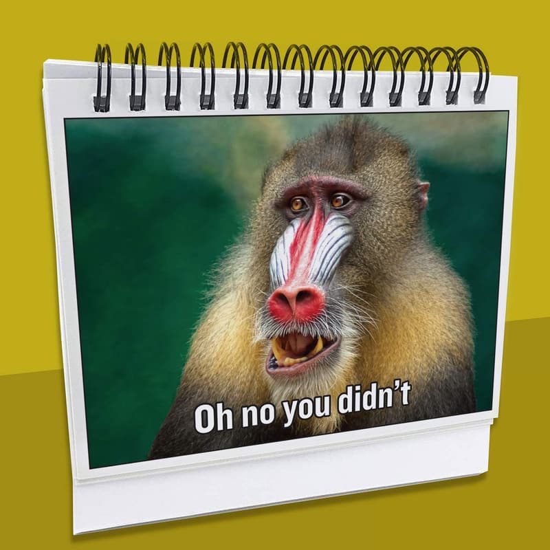 Funny Desk Toy for Coworkers | Hilarious Office Gag Gift