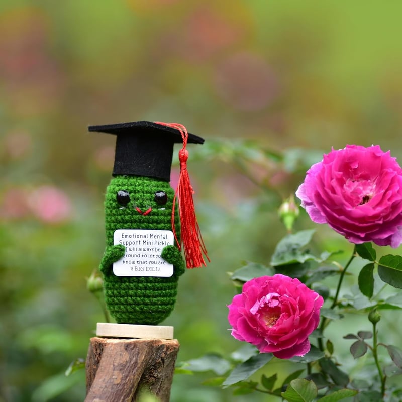 Positive Affirmation Crochet Pickles with Wooden Base Gift