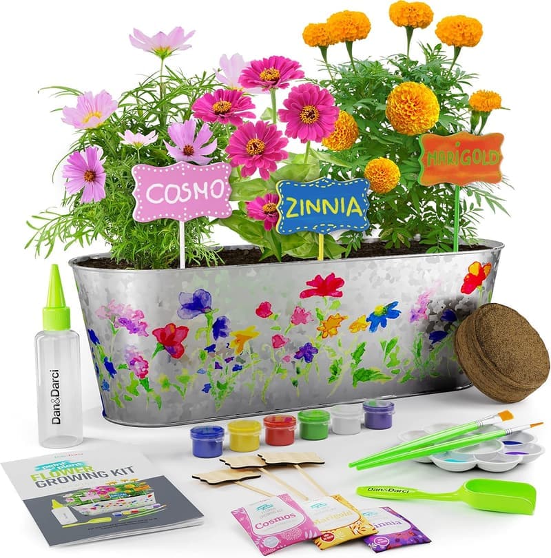 Kids' Paint & Plant Flower Growing Kit - Fun Gardening Gift