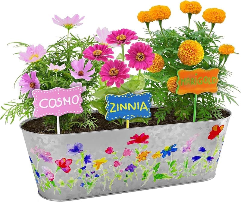 Kids' Paint & Plant Flower Growing Kit - Fun Gardening Gift