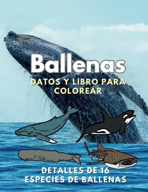 Whales Coloring Book: Fun Facts for Kids Ages 2-16