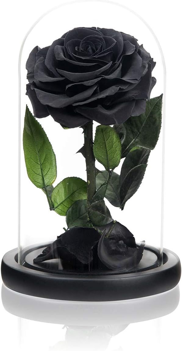 Mother's Day Black Preserved Roses in Glass Dome
