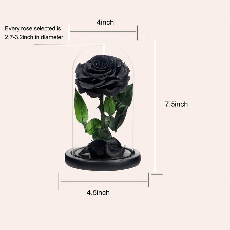 Mother's Day Black Preserved Roses in Glass Dome