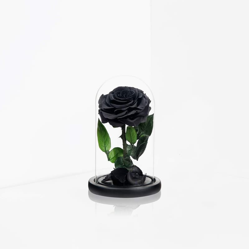 Mother's Day Black Preserved Roses in Glass Dome