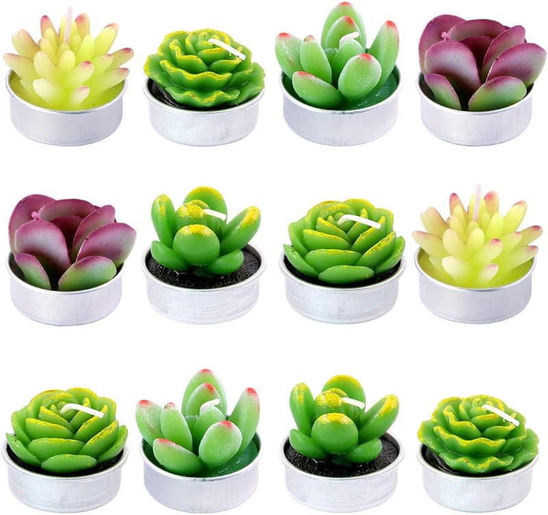 Succulent Tealight Candles Set for Weddings & Housewarmings