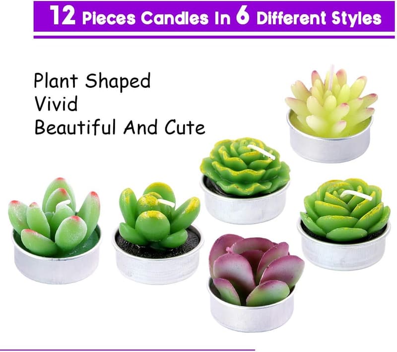 Succulent Tealight Candles Set for Weddings & Housewarmings