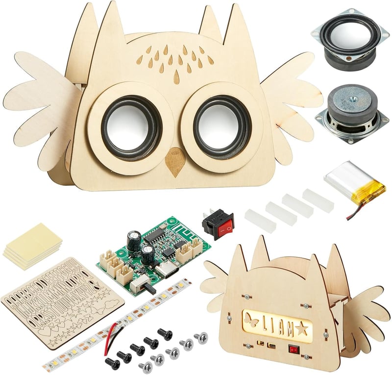 DIY Bluetooth Speaker Kit for Kids - STEM Electronics Project