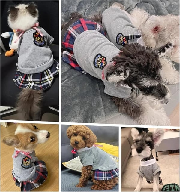 Cute Gray Sailor School Skirt for Small Dogs with Bowtie