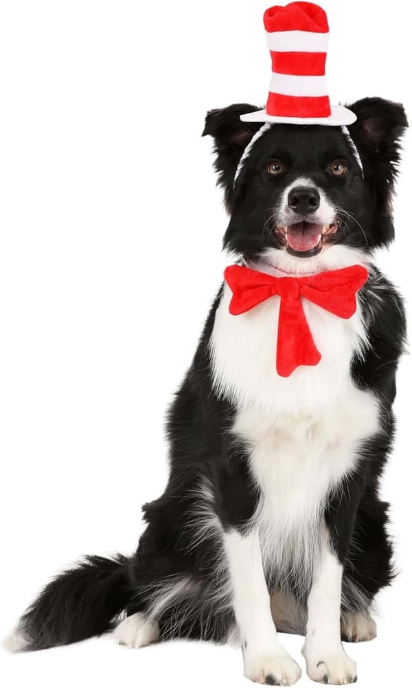 Cat in The Hat Pet Costume - Dr. Seuss Feline Outfit for Pets