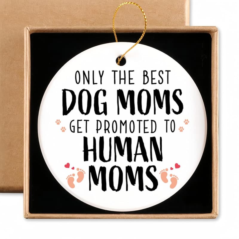 Funny Dog Mom Pregnancy Ornament Gift for New Moms