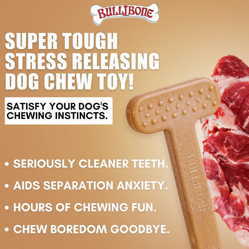 Nylon Dog Chew Toy - Beef Flavor, Large, Improves Dental Hygiene