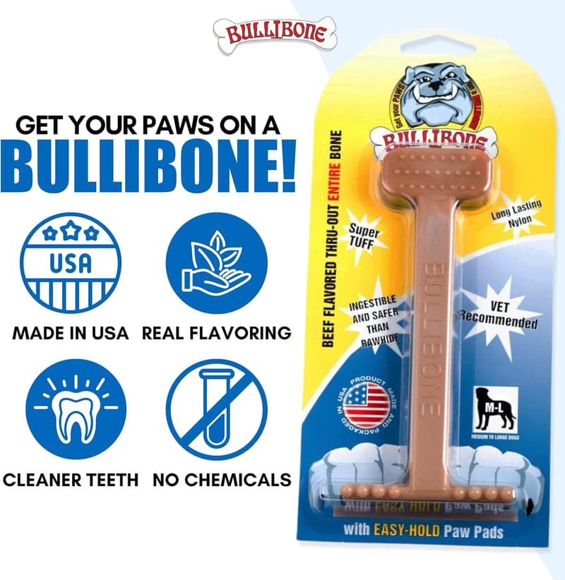 Nylon Dog Chew Toy - Beef Flavor, Large, Improves Dental Hygiene
