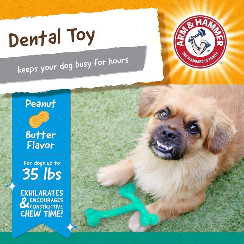 Durable T-Bone Dental Chew Toy for Dogs - Peanut Butter Flavor