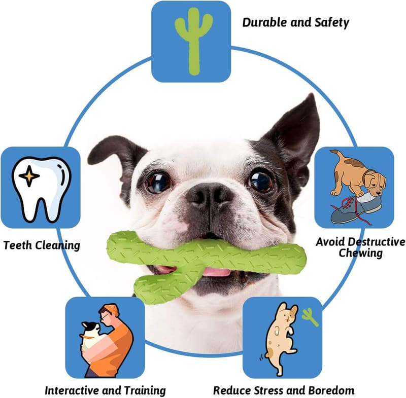 Durable Rubber Cactus Dog Chew Toys for Aggressive Chewers