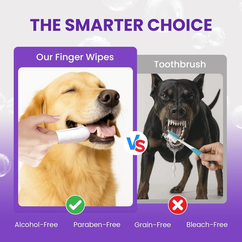 Dog Dental Care Wipes & Toothbrush Kit - 50 Count