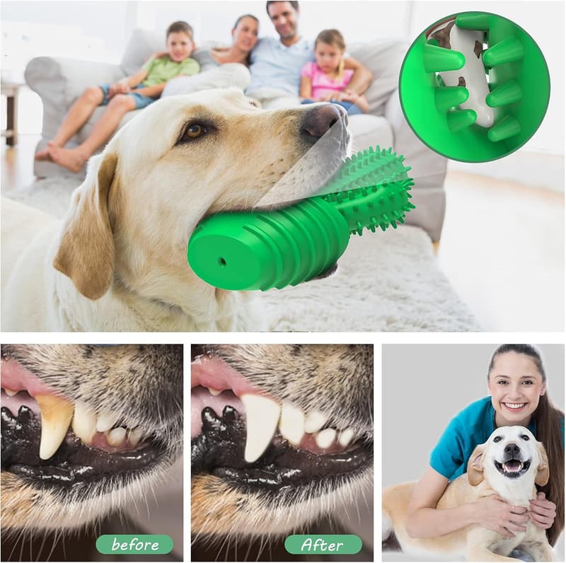 Dog Toothbrush Chew Toy - Dental Stick for Medium to Large Dogs