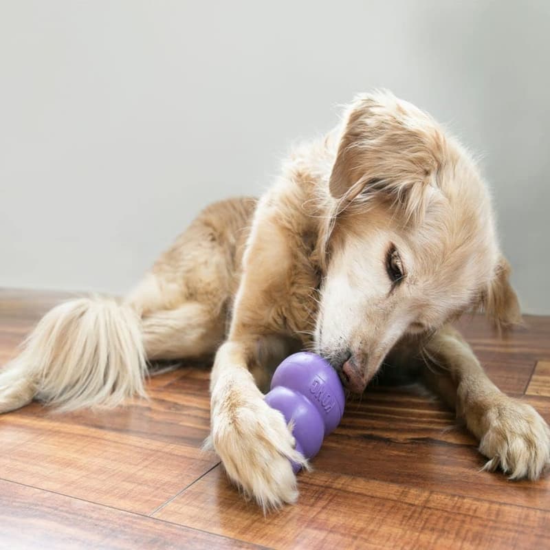 Durable Rubber Chew Toy for Senior Dogs - Stuffable Treat Toy