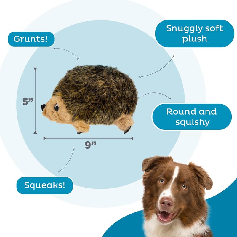 Medium Hedgehog Plush Dog Toy - Outward Hound