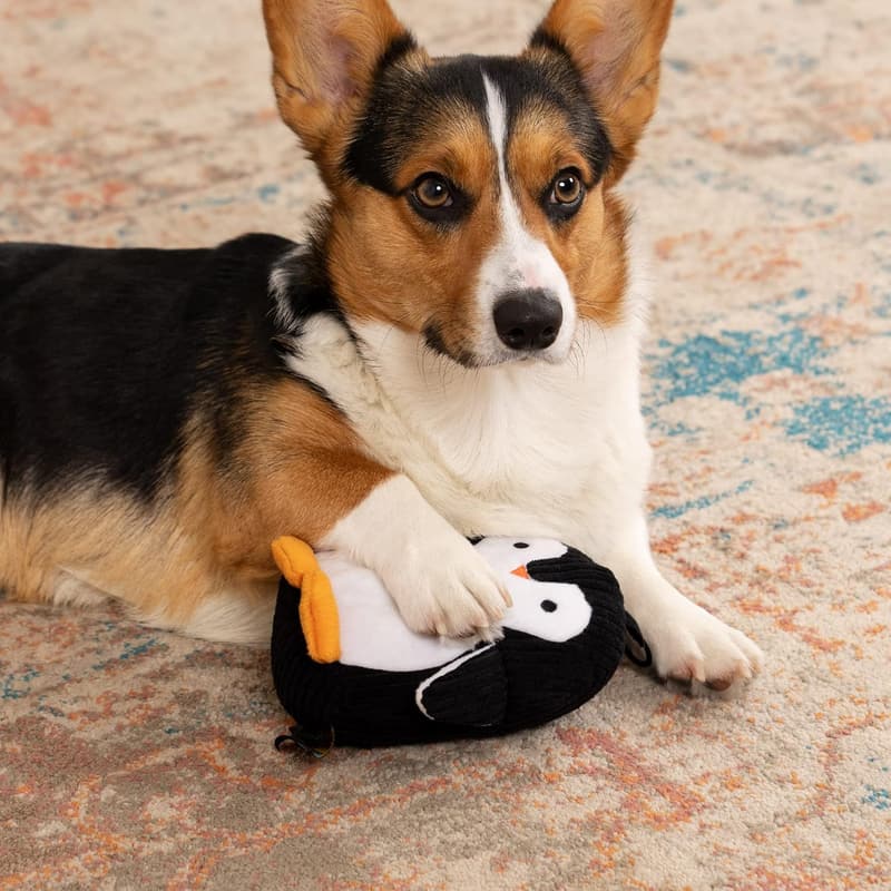 Silent Squeak Plush Dog Toy – Black/White, Medium