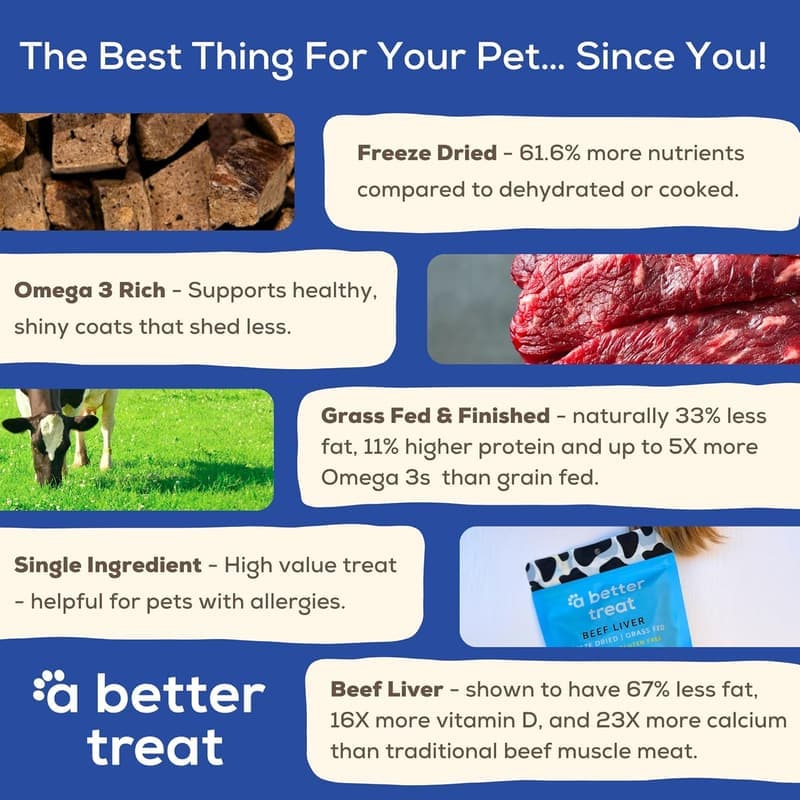Freeze-Dried 100% Grass-Fed Beef Liver Dog Treats - Natural & Grain-Free