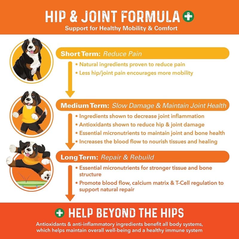 Dog Hip & Joint Supplement - 90 Soft Chews for Mobility
