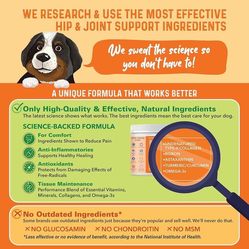 Dog Hip & Joint Supplement - 90 Soft Chews for Mobility