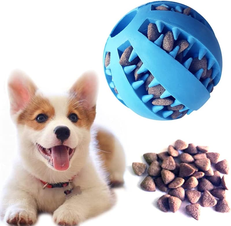 Interactive Dog Treat Toy Ball Set - 2-Pack (Green & Blue)