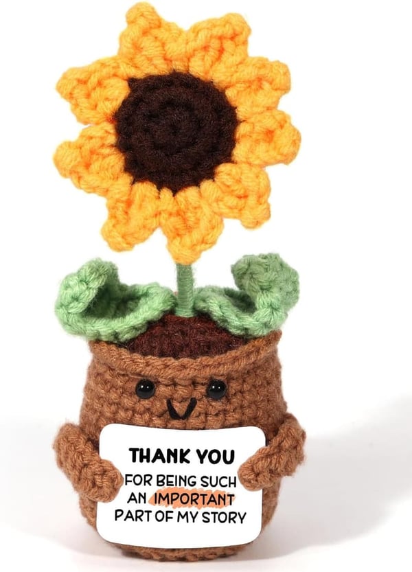 Funny Sunflower Crochet Gift for Dad - Father's Day & Graduation
