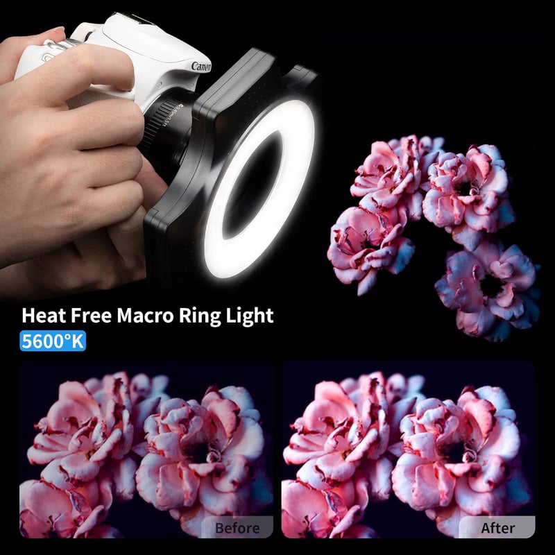 DSLR Macro Ring Light with 49-67mm Adapter Rings