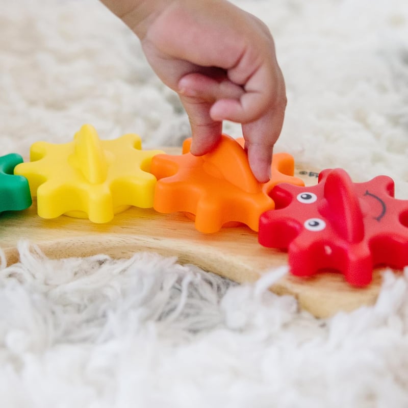 Rainbow Caterpillar Gear Toy with 6 Interchangeable Gears for Toddlers