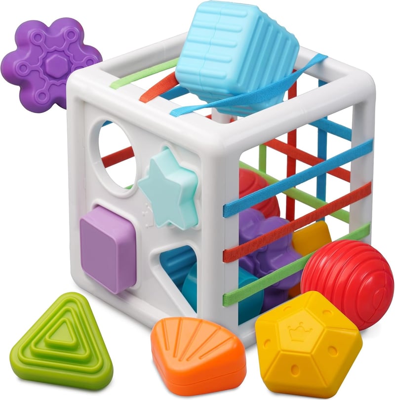 Colorful Shape Sorter Montessori Toy for Toddlers, 10 Pieces