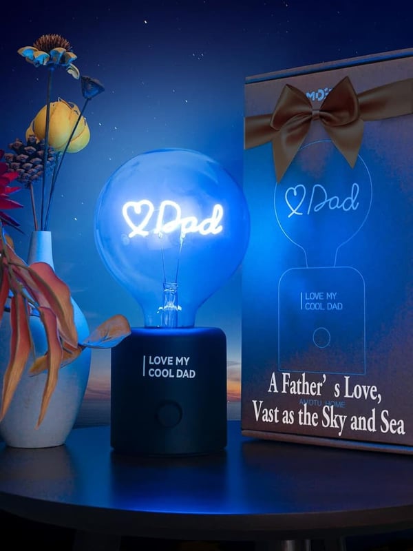 Fathers Day Rechargeable Cordless Table Lamp Gift
