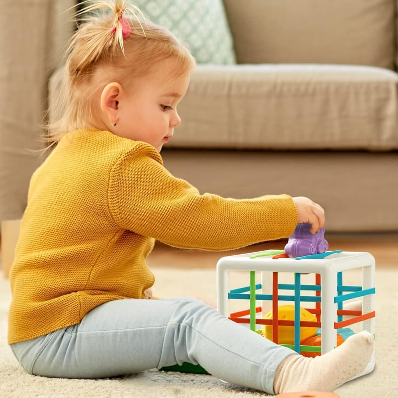 Montessori Sensory Shape Block Set for 1-Year-Olds