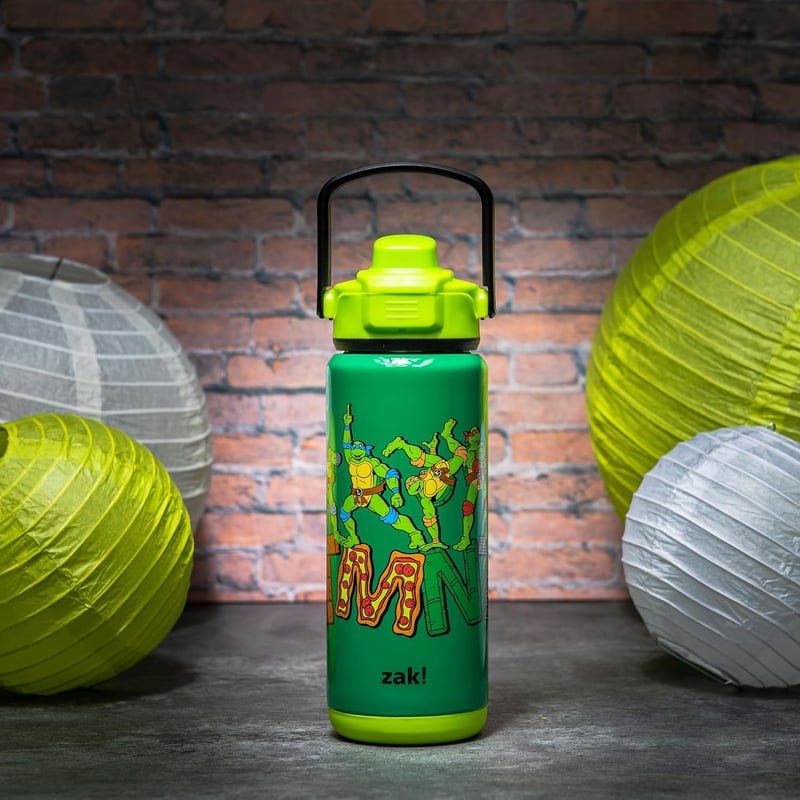 Teenage Mutant Ninja Turtles Insulated Bottle - 20 oz, Stainless Steel