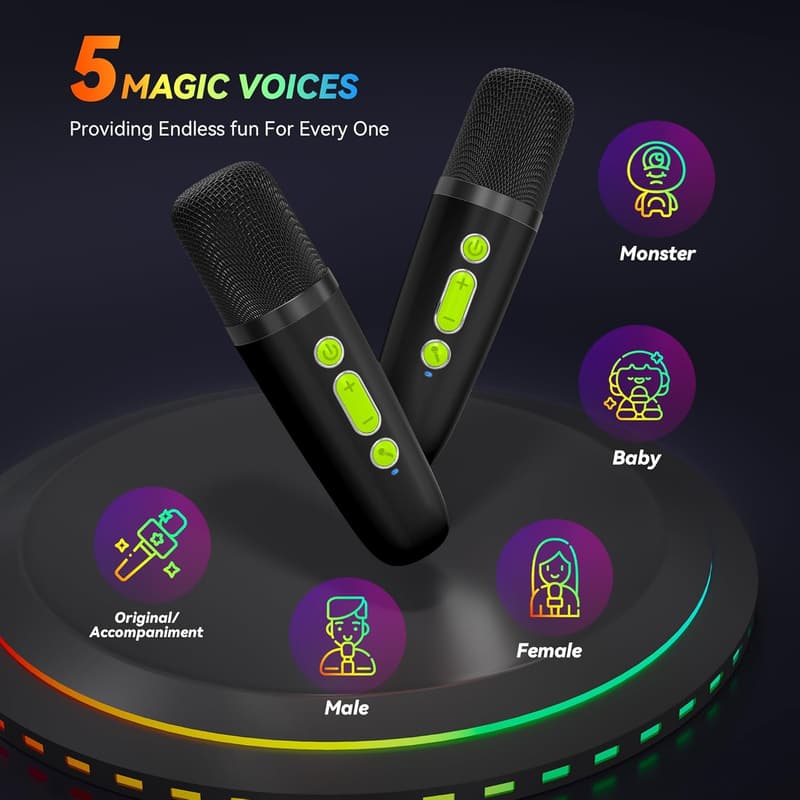 Portable Bluetooth Karaoke Machine with 2 Wireless Mics for Kids