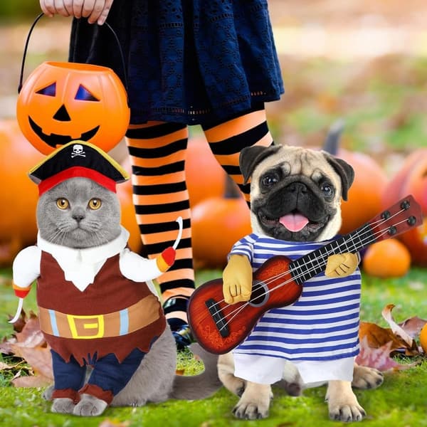Halloween Knight Dog Costume with Doll and Hat for Pets