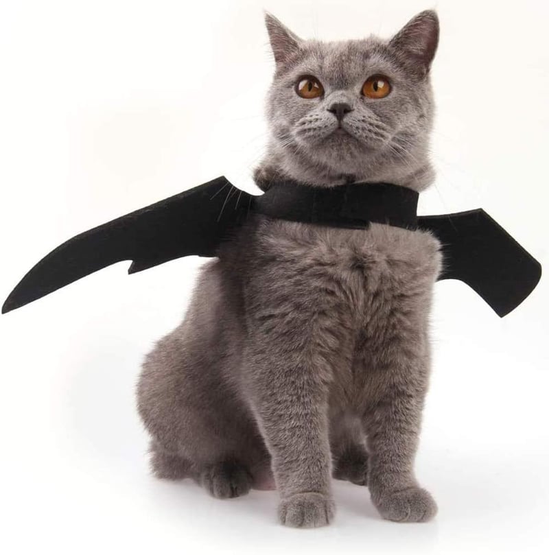 Halloween Cat Costume - Bat Wings Pet Apparel for Cats & Small Dogs