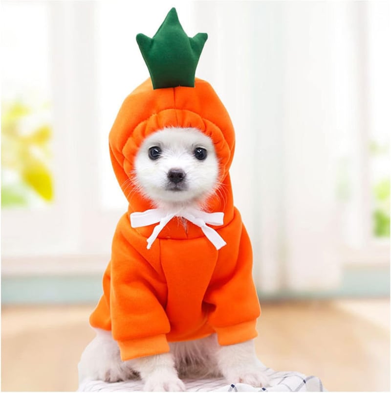 Cute Orange Fleece Dog Hoodie for Winter - Size L