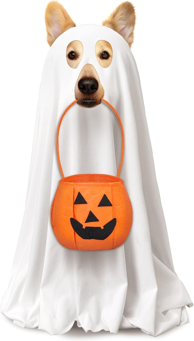 Halloween Dog Costume Set with Ghost Cape & Pumpkin Bags