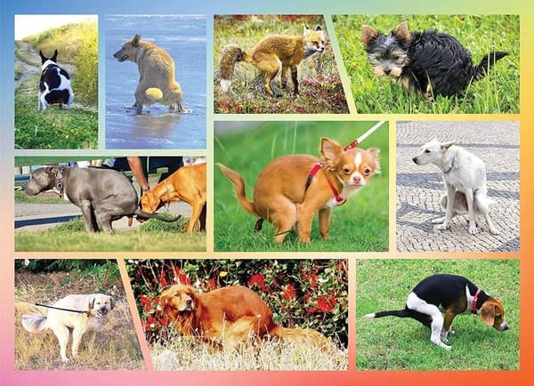 Funny Pooping Puppies 1000-Piece Puzzle for Dog Lovers