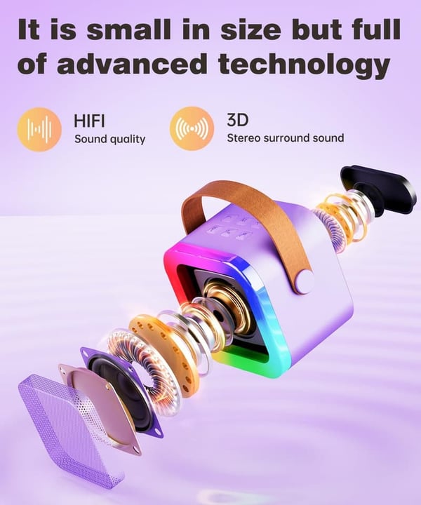 Portable Bluetooth Karaoke Machine with 2 Microphones for Kids