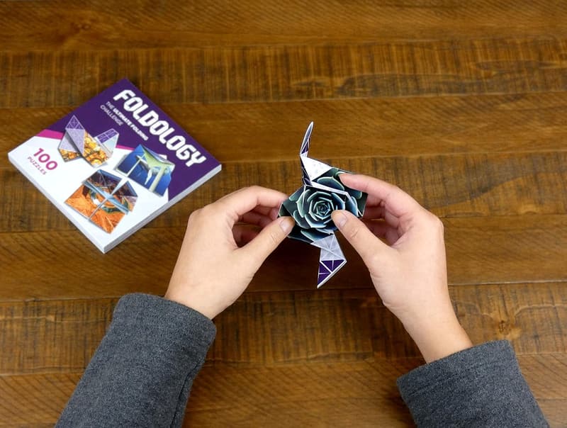 Origami Puzzle Game - 100 Challenges for Ages 10+